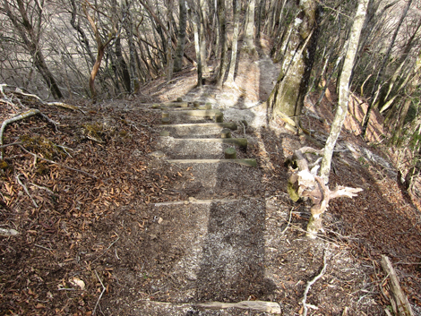 20200110hike (227)